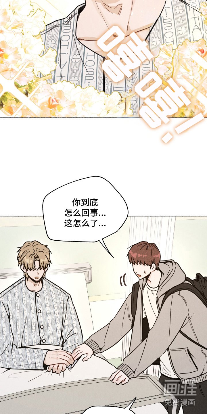 第1章：放弃游泳吗