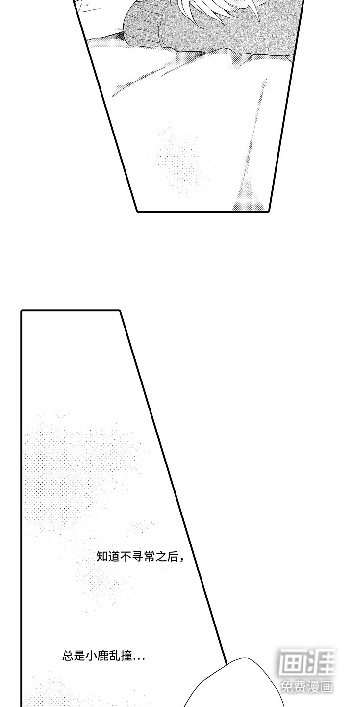 第3章：理想型