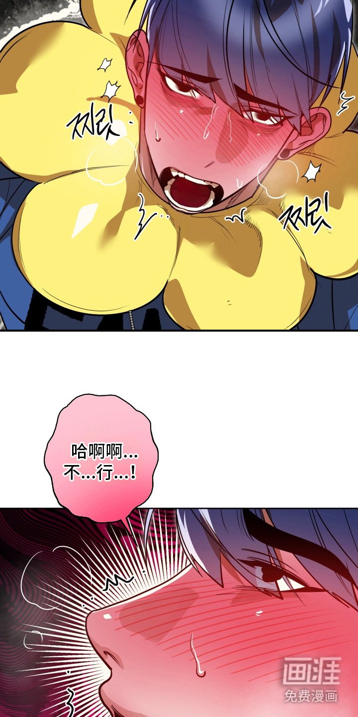 第12章：不能输