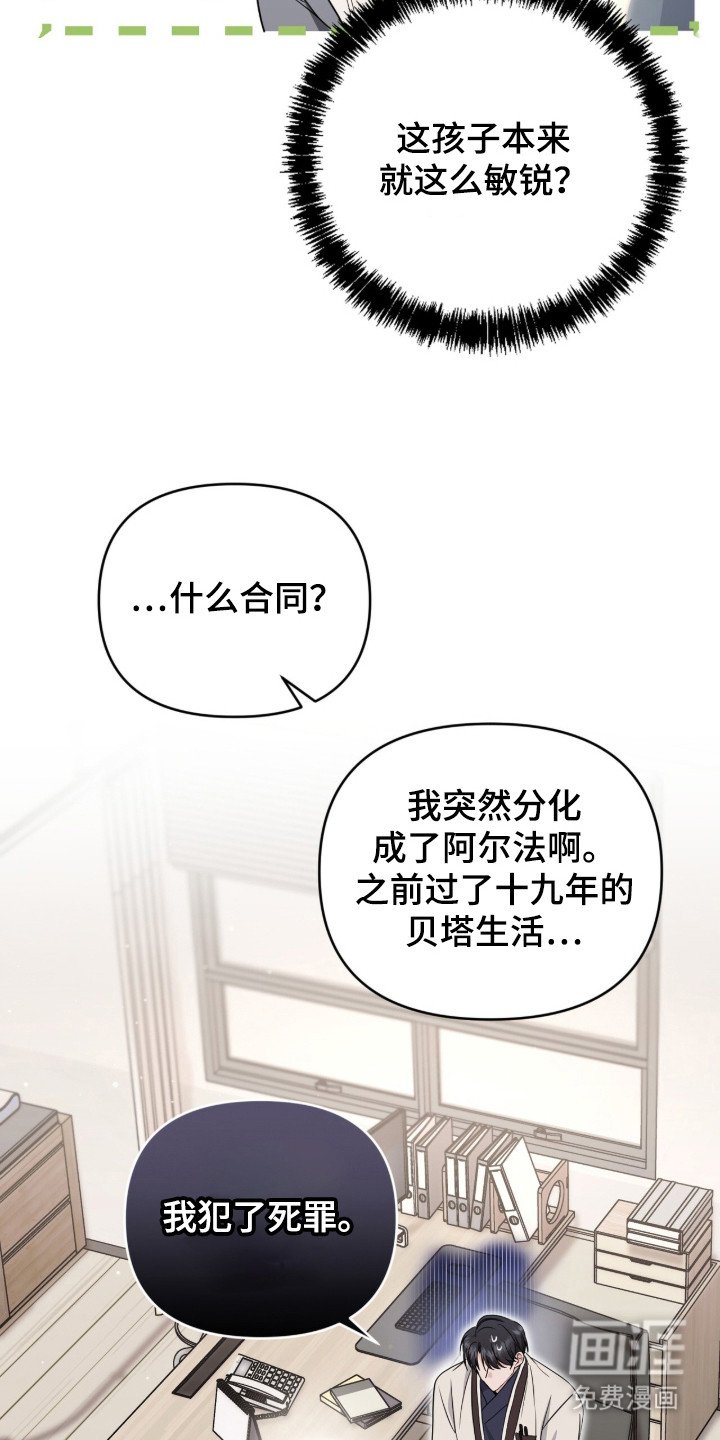 第10章：合约