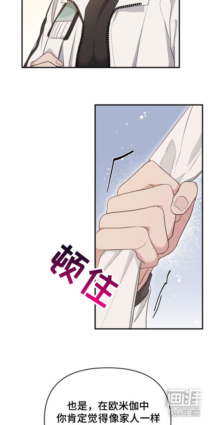 第11章：因为喜欢