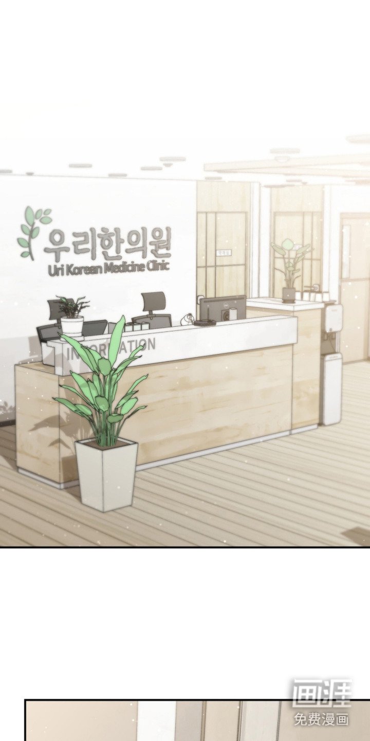 第4章：分化