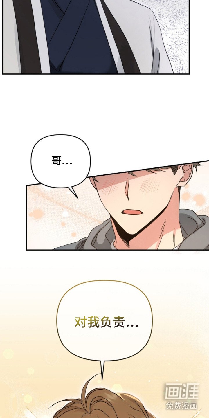 第4章：分化