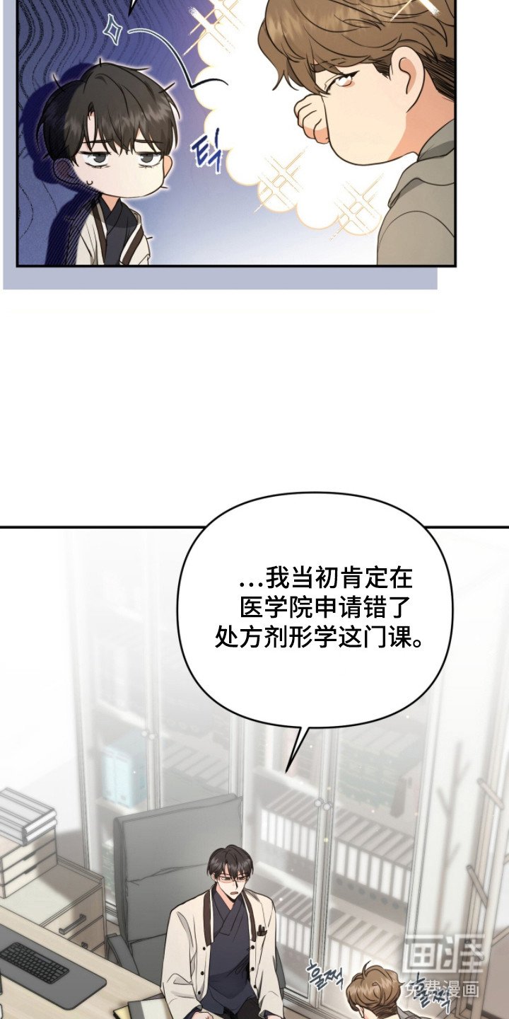 第4章：分化