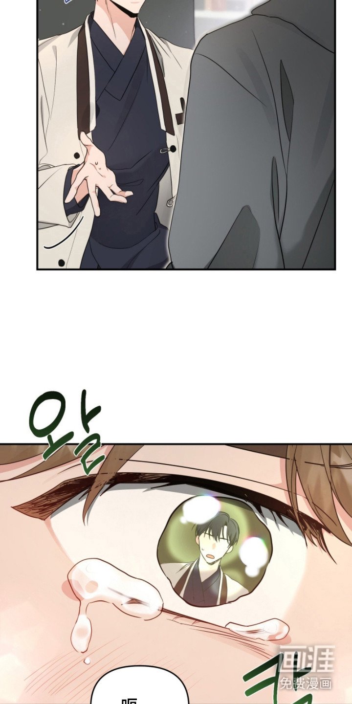 第4章：分化
