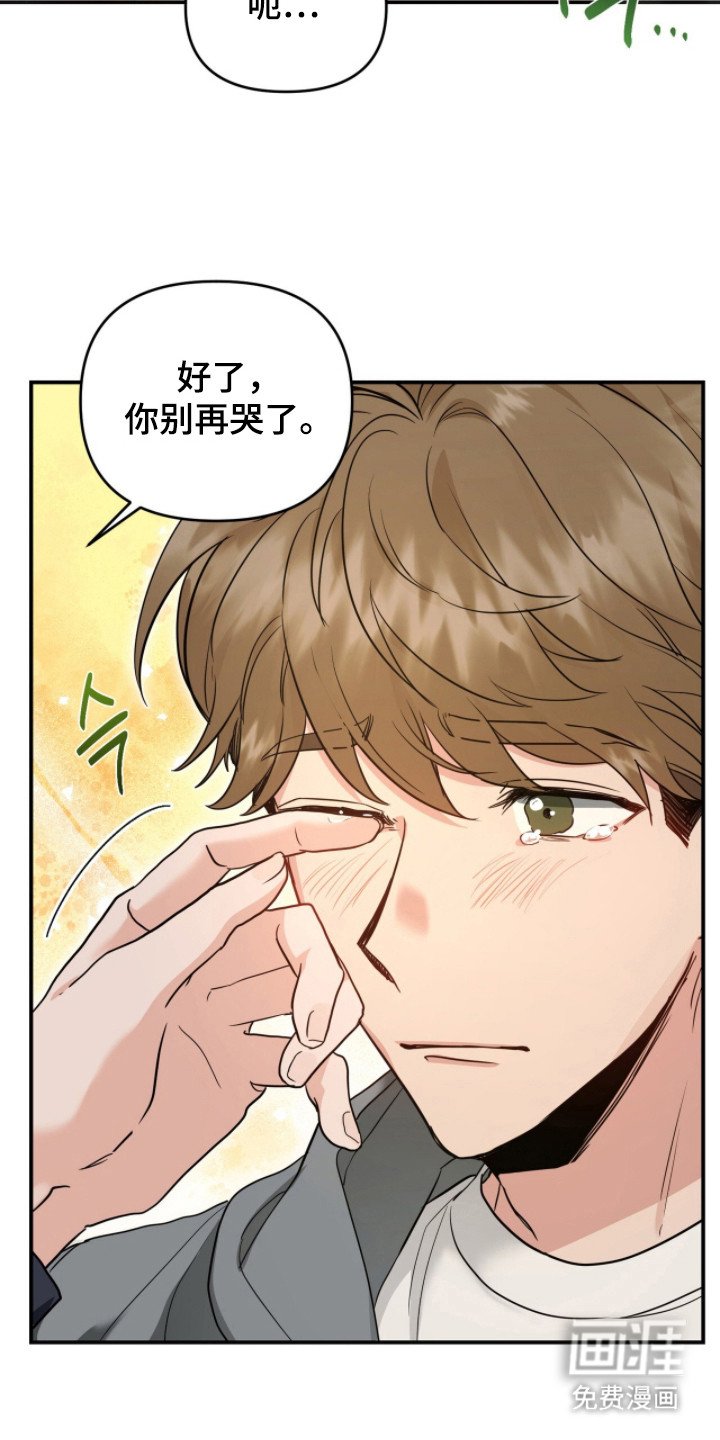 第4章：分化