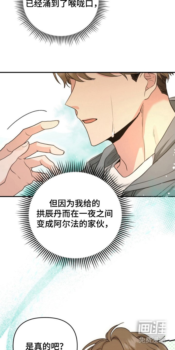 第4章：分化
