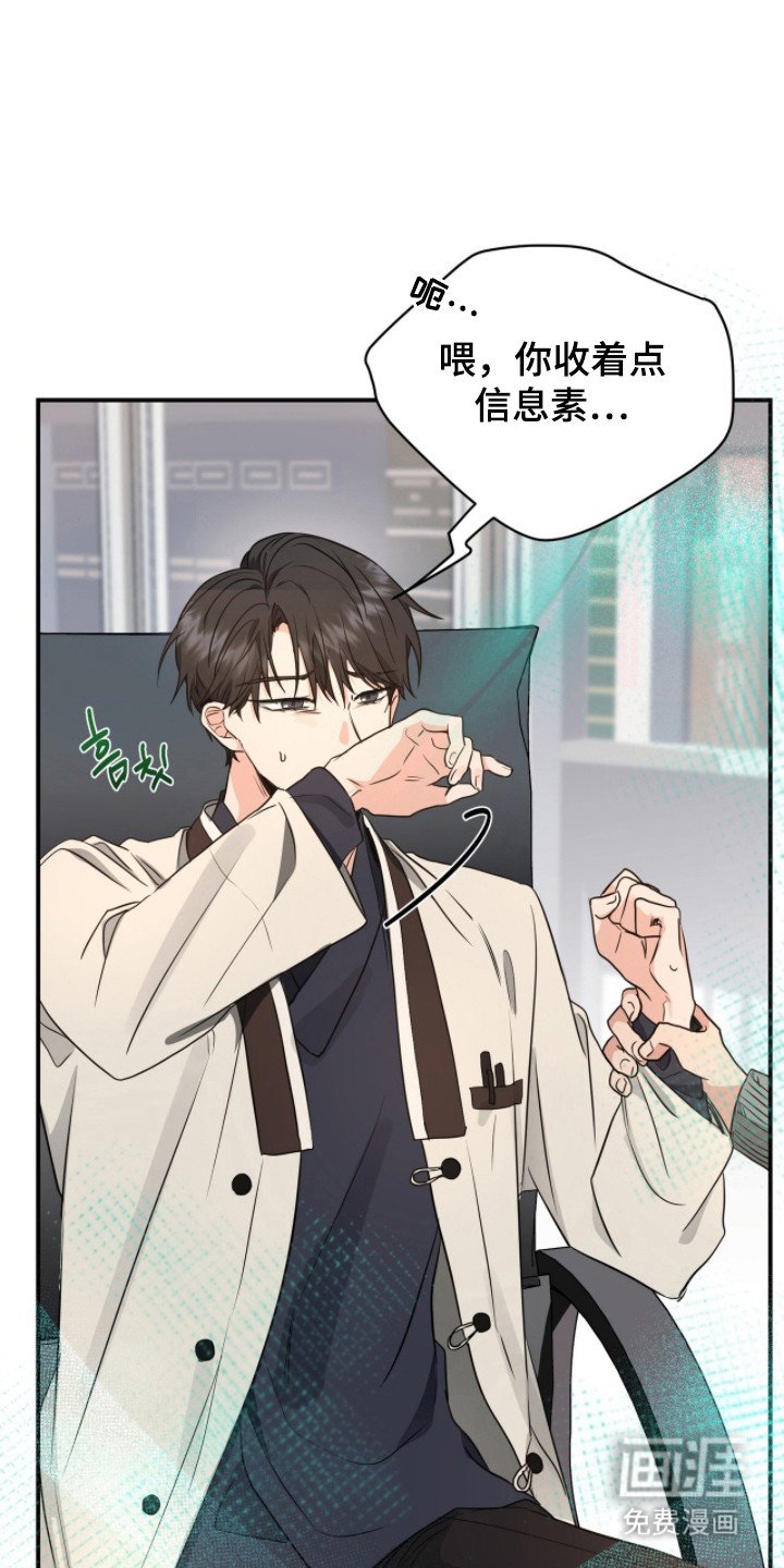第4章：分化
