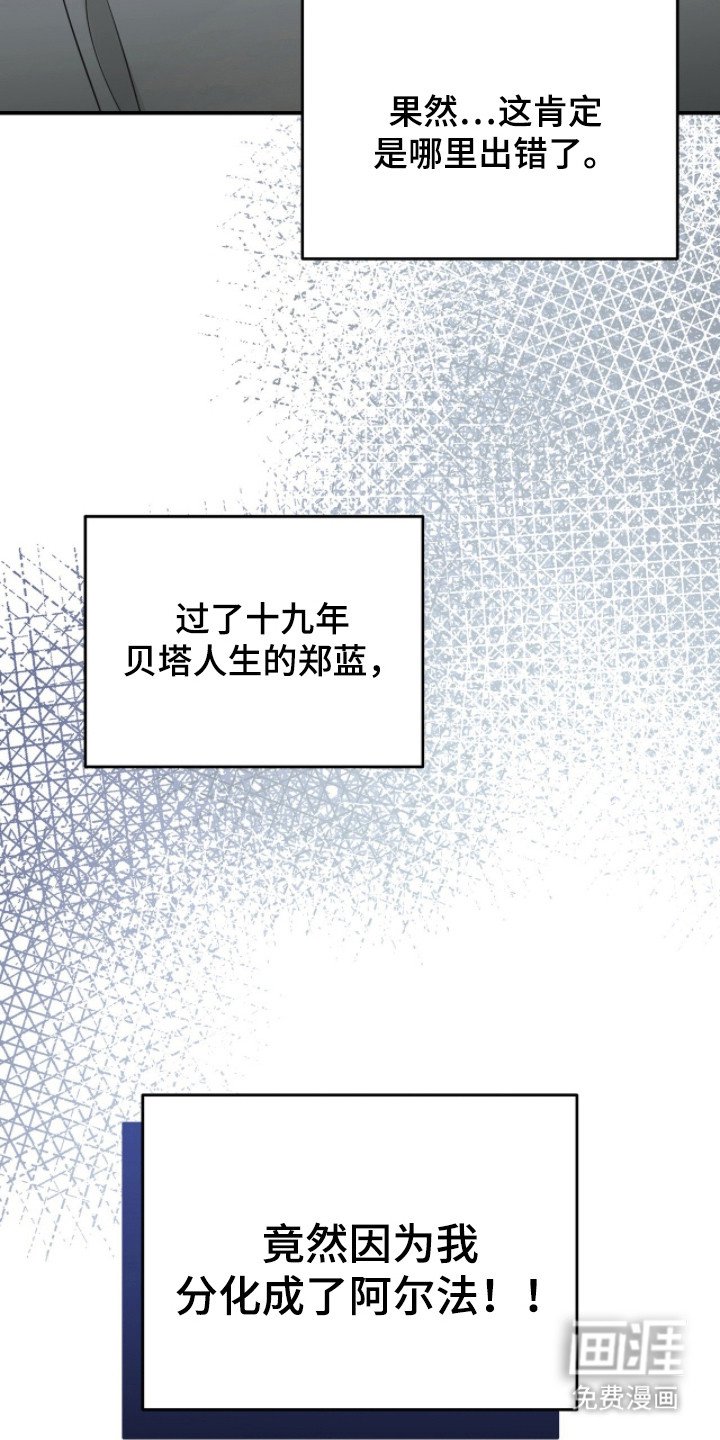 第4章：分化