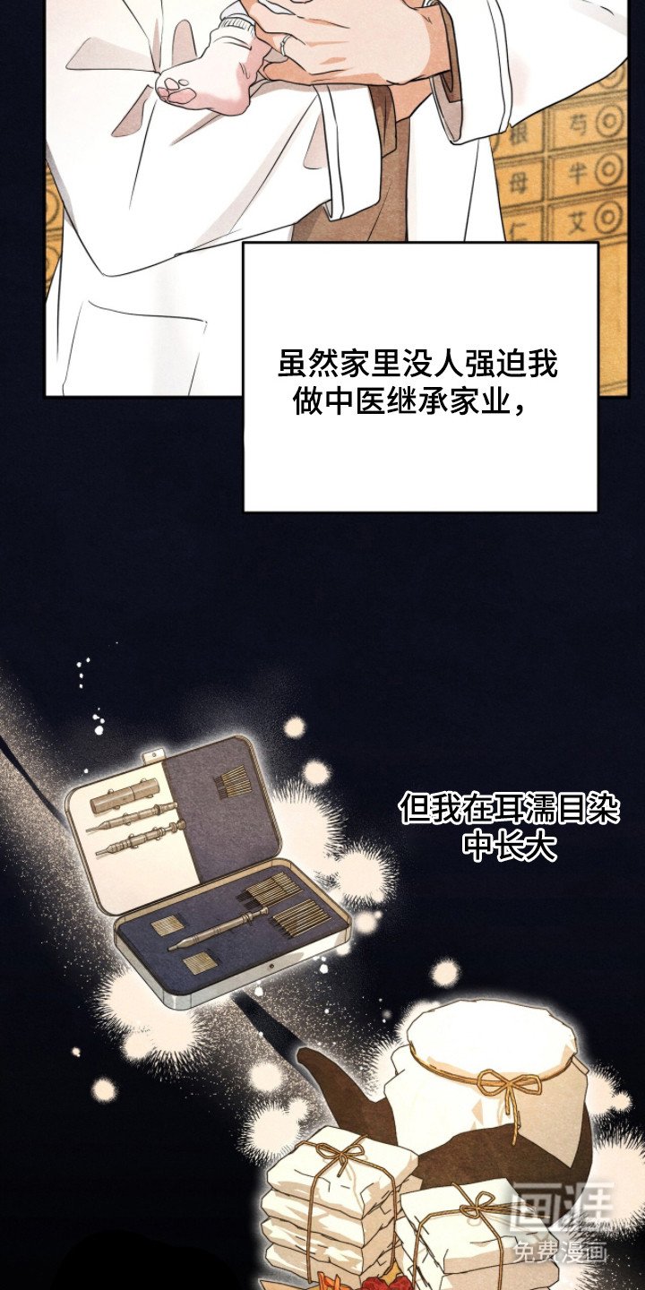 第4章：分化