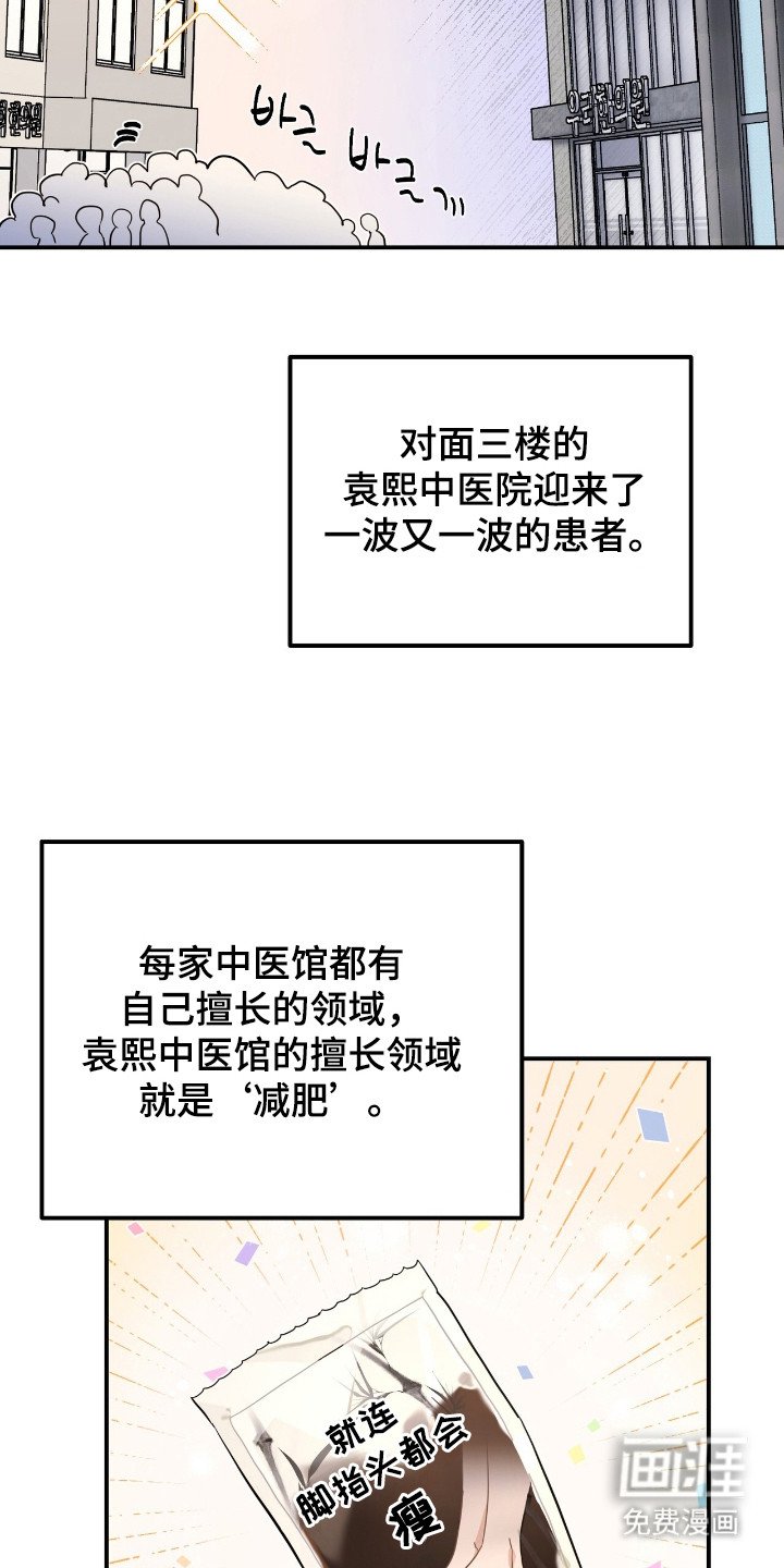 第8章：拱辰丹