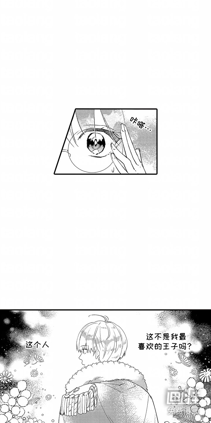 第12章：王子出现