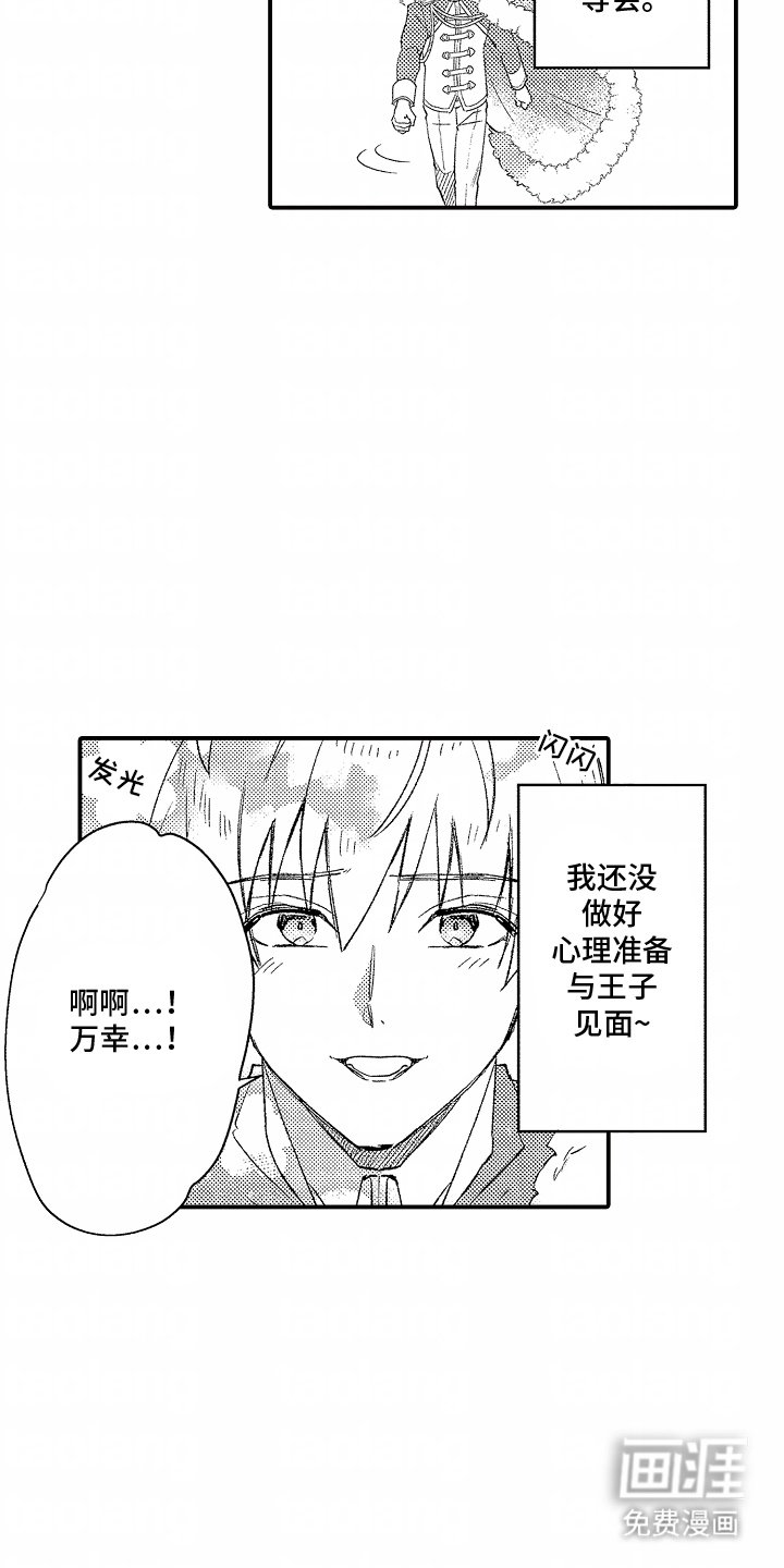 第12章：王子出现