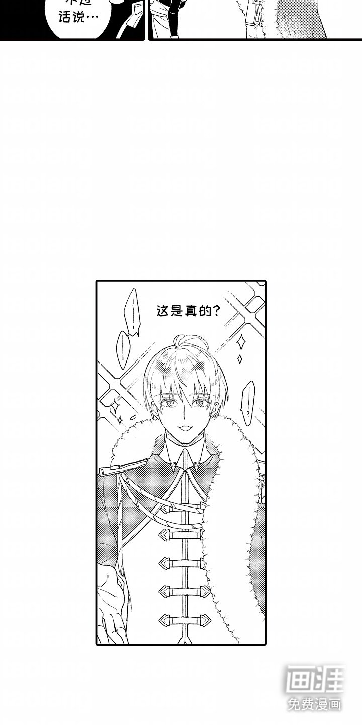 第12章：王子出现