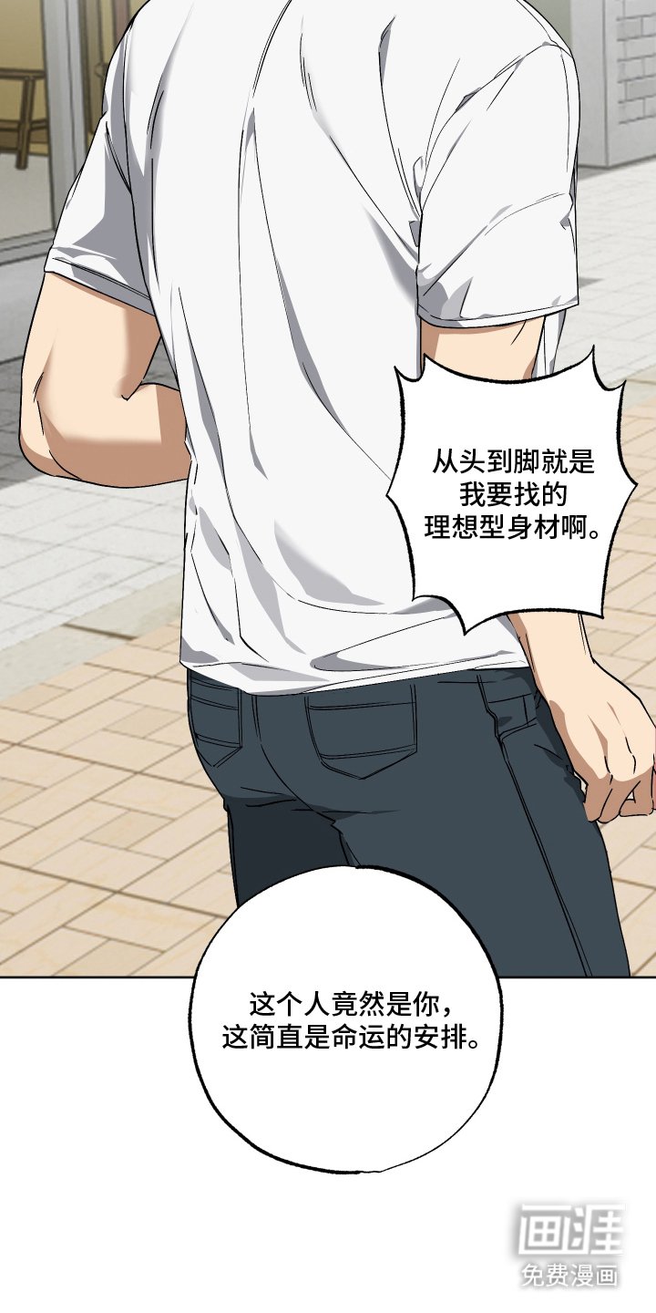 第3章：理想型身材