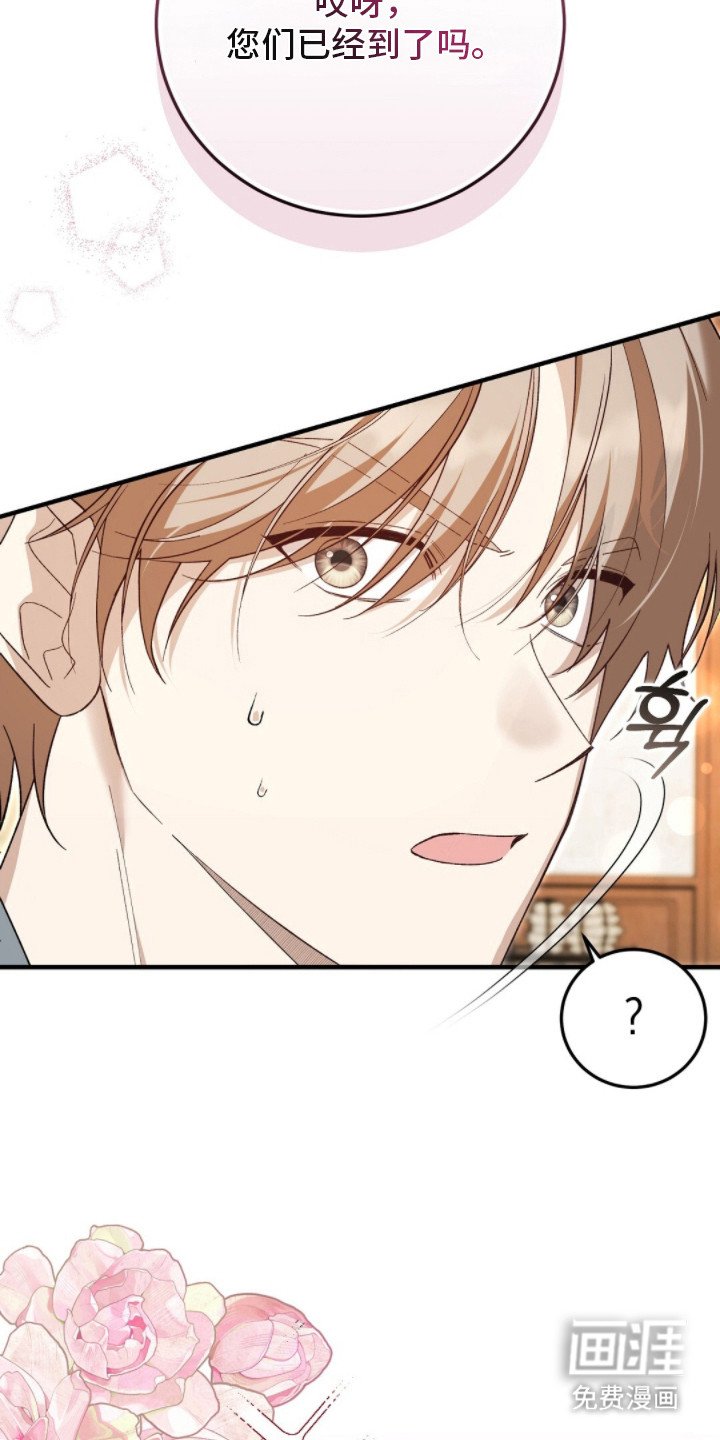 第11章：见家长