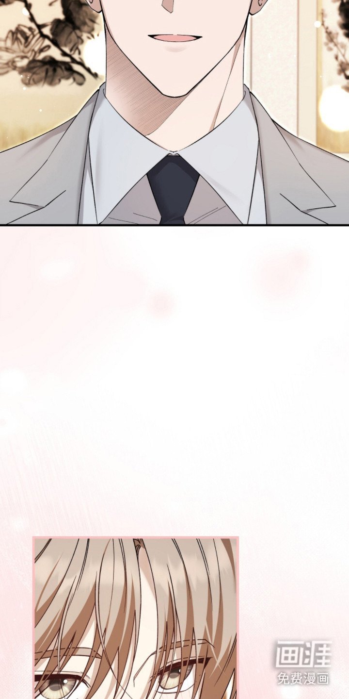 第12章：总裁