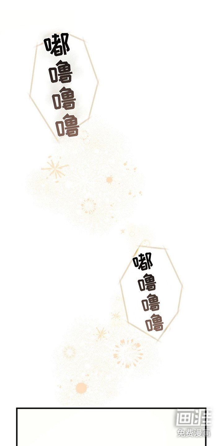 第6章：是认真的