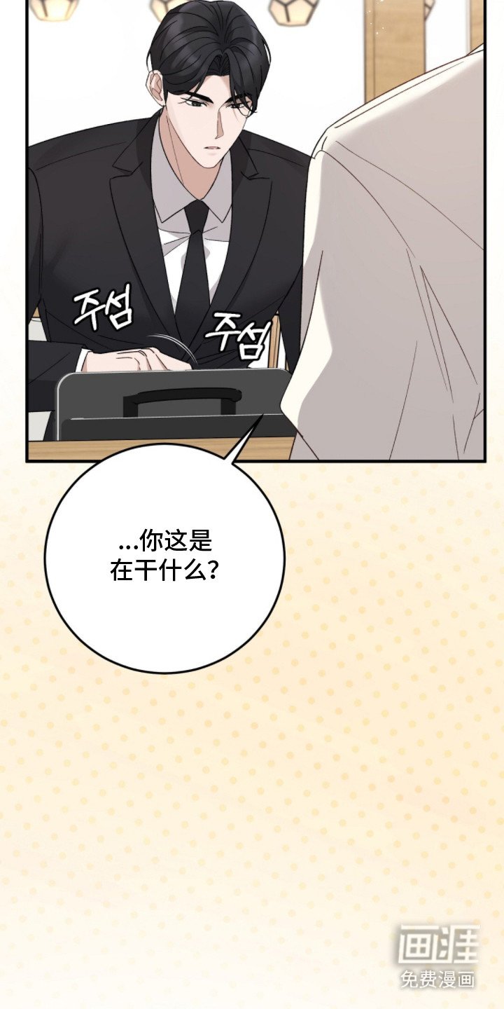 第6章：是认真的