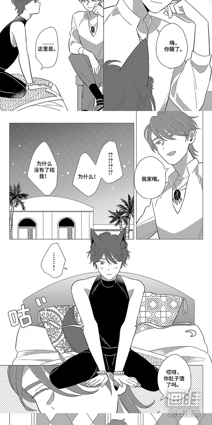 第2章：勇者的项链