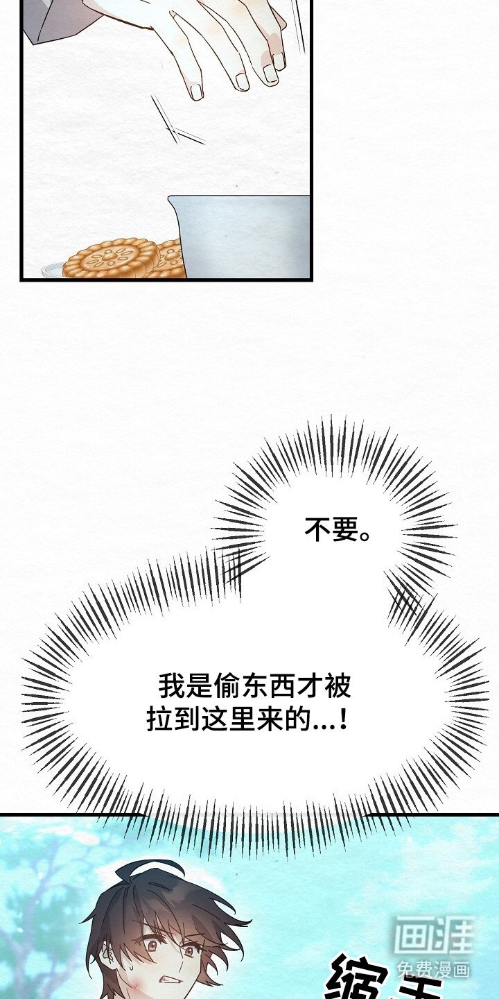 第14章：帅气之人