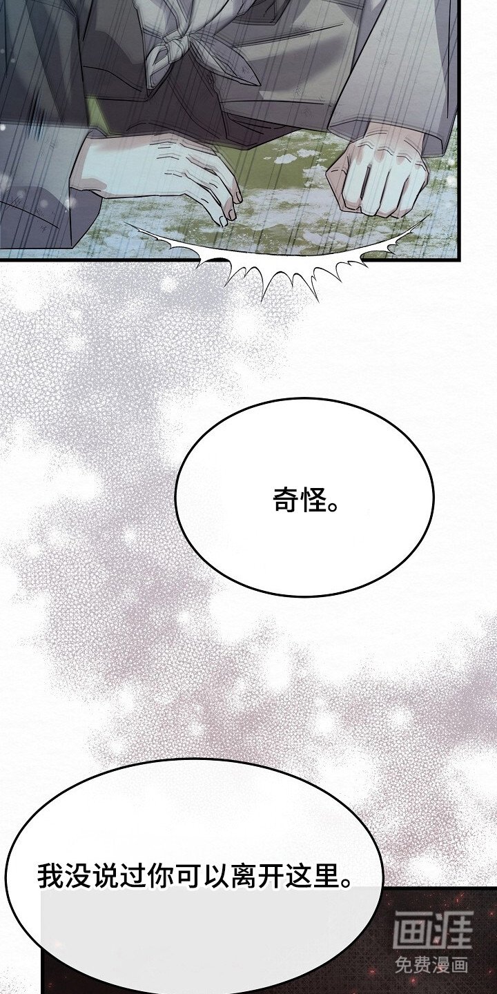 第16章：即视感