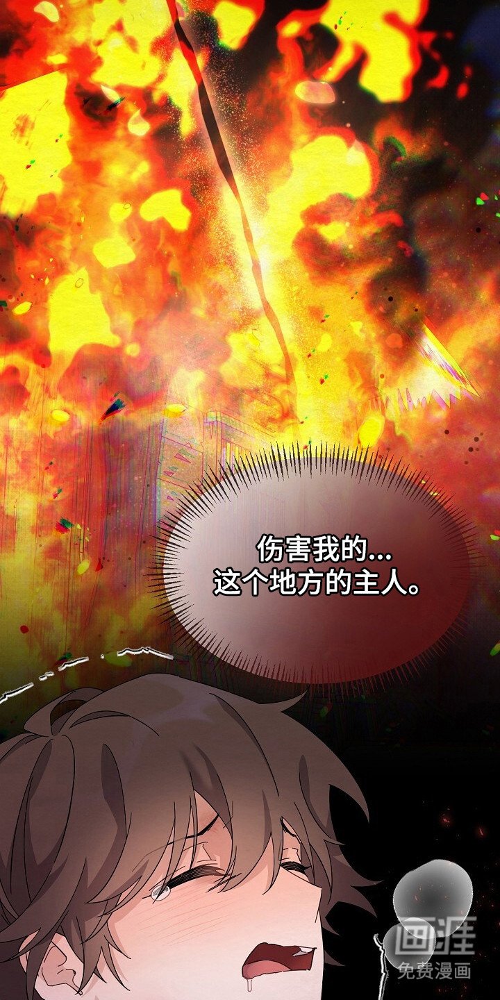 第16章：即视感