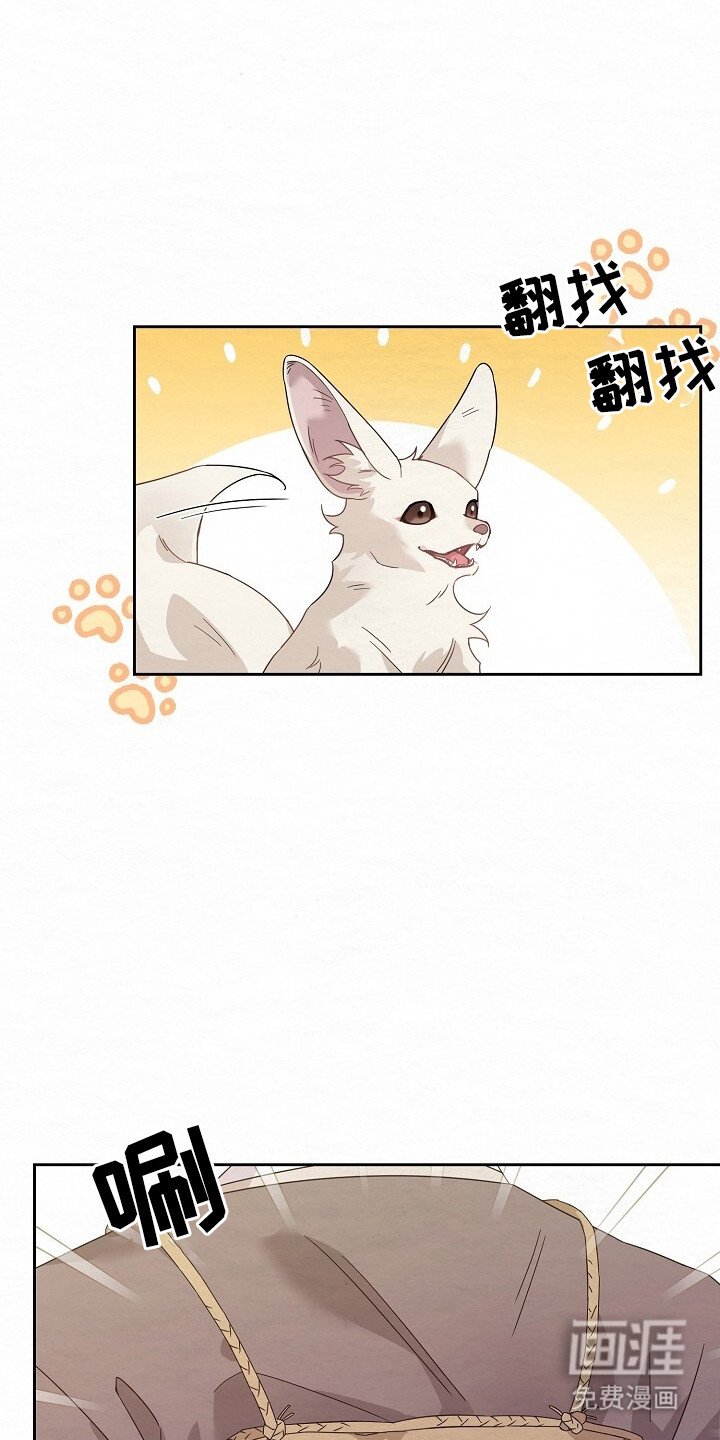 第2章：爬山客