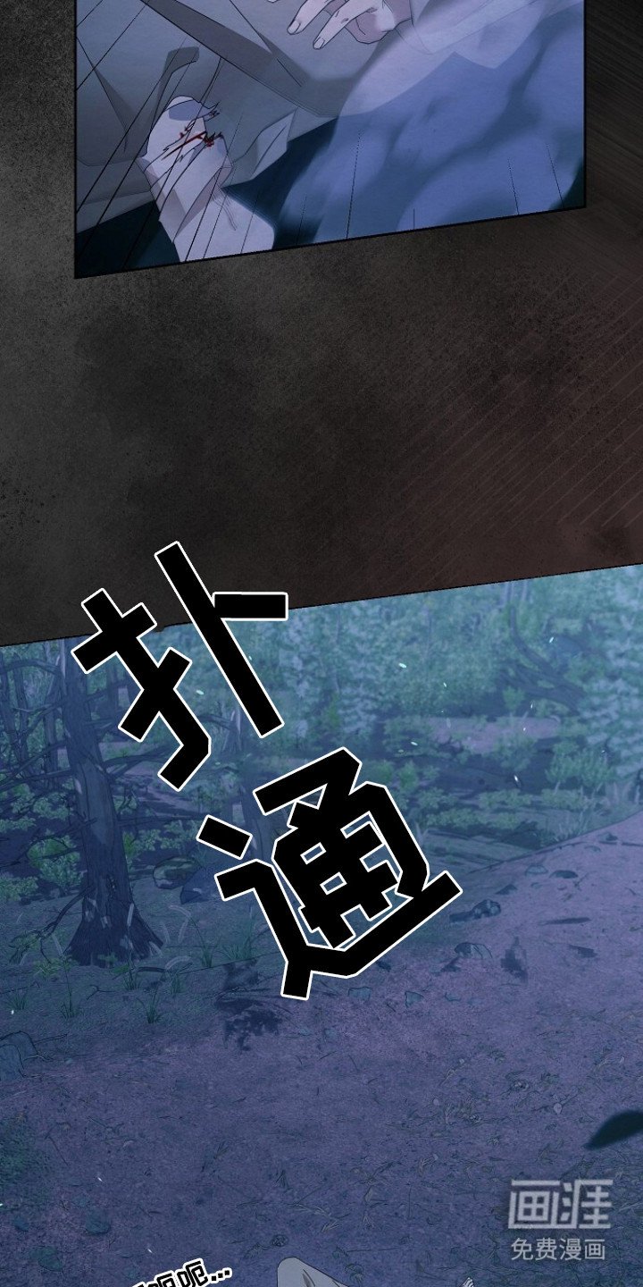 第5章：冷酷