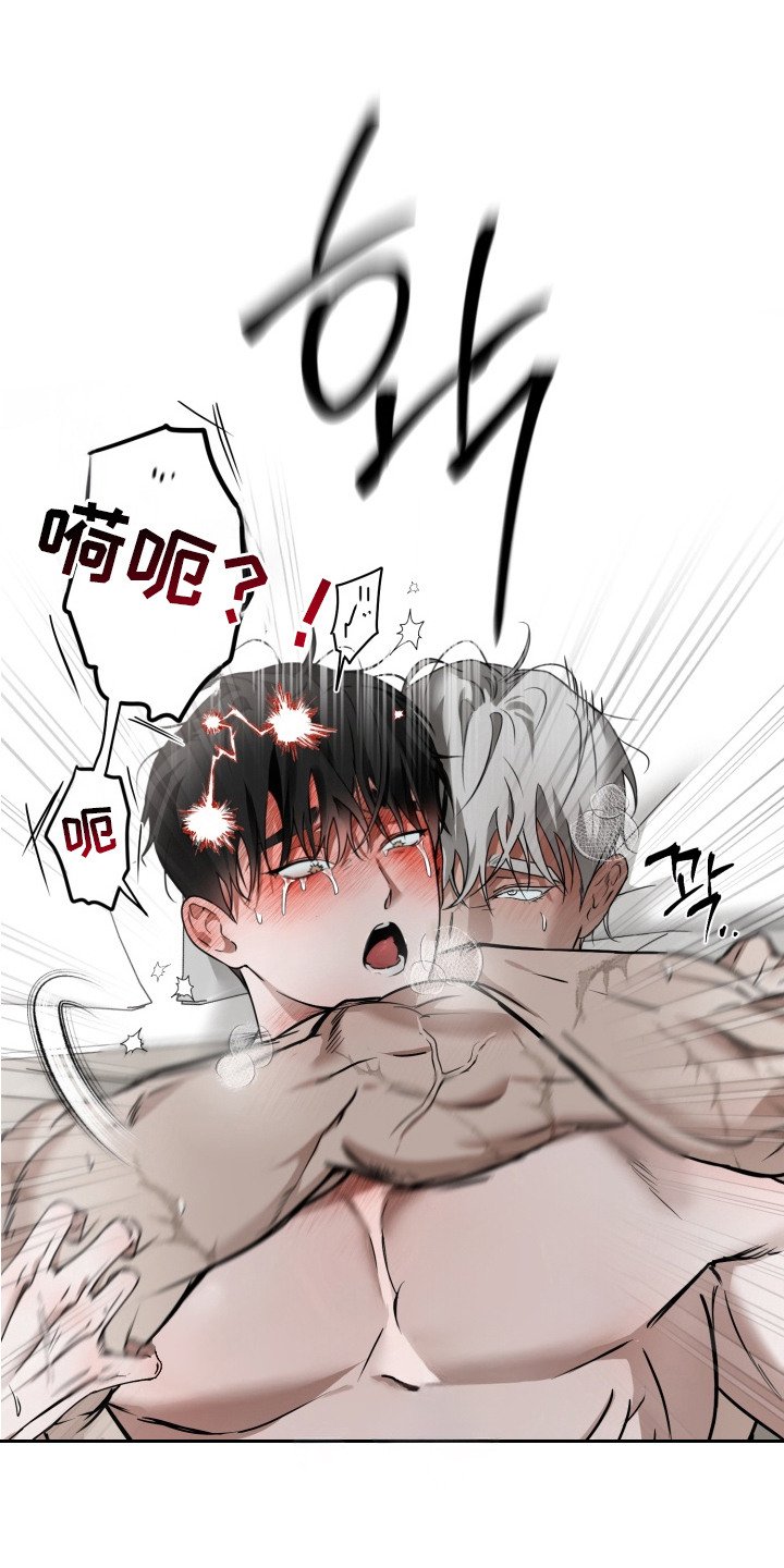 第11章：理想型