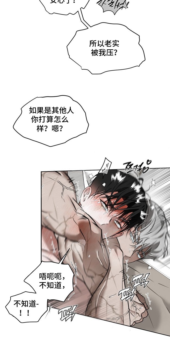 第11章：理想型