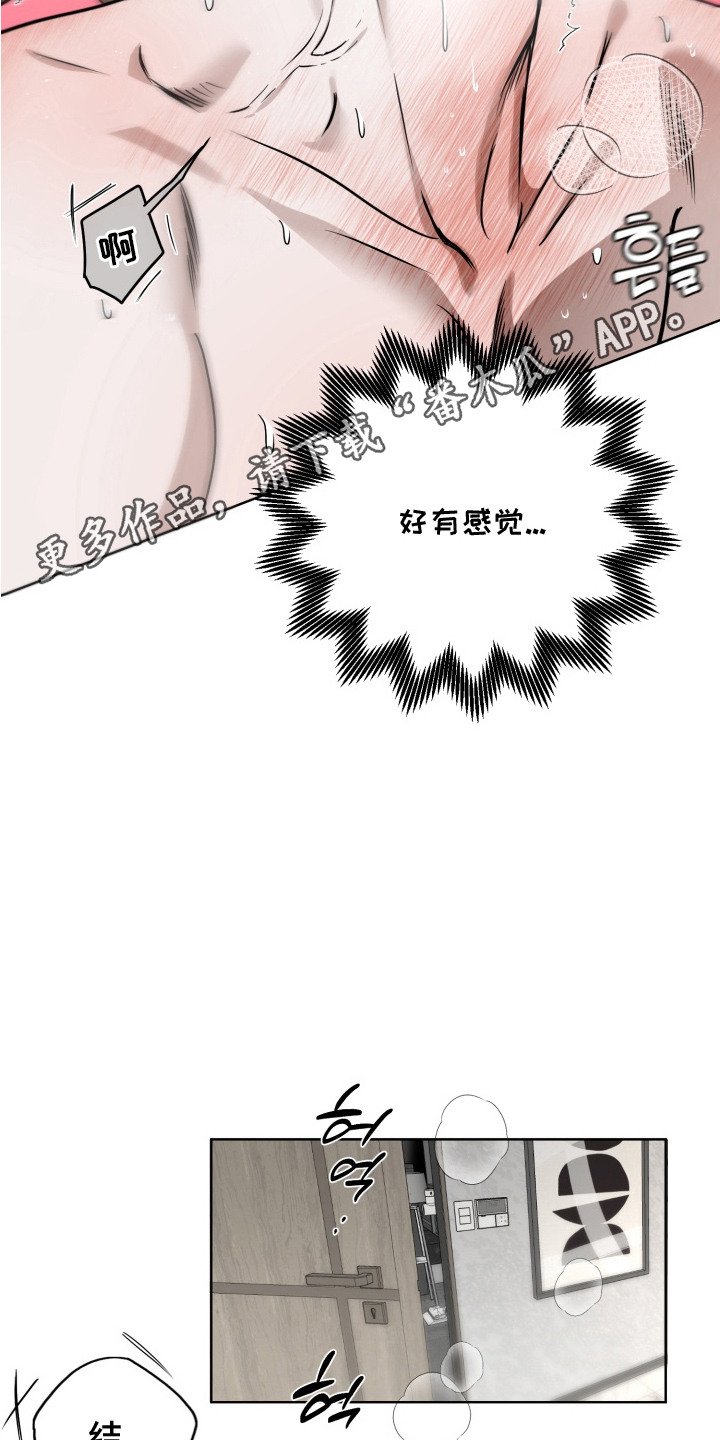 第11章：理想型