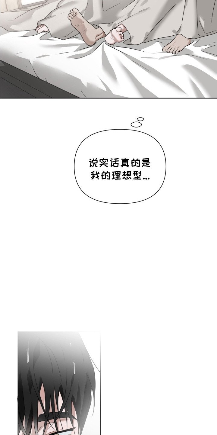 第11章：理想型