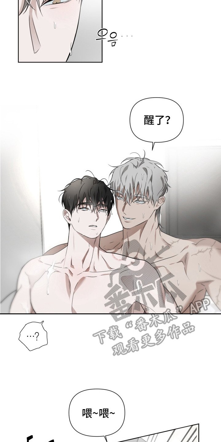第11章：理想型