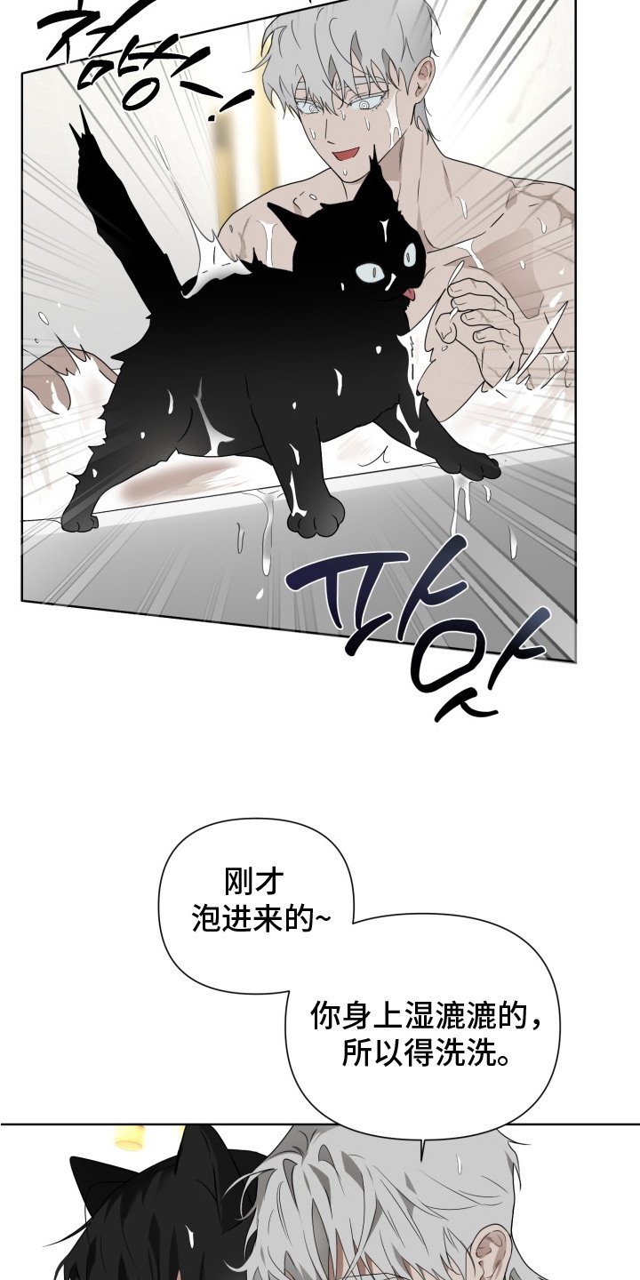 第11章：理想型