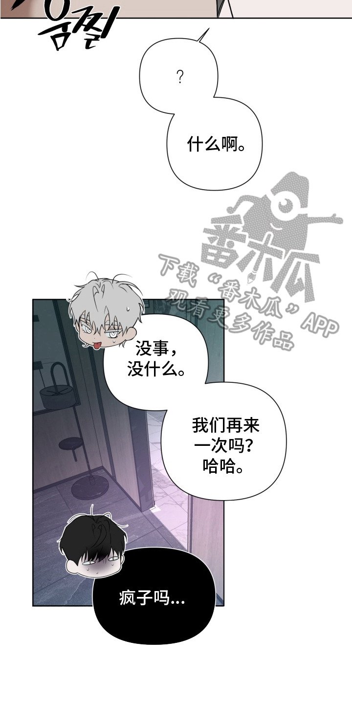 第11章：理想型