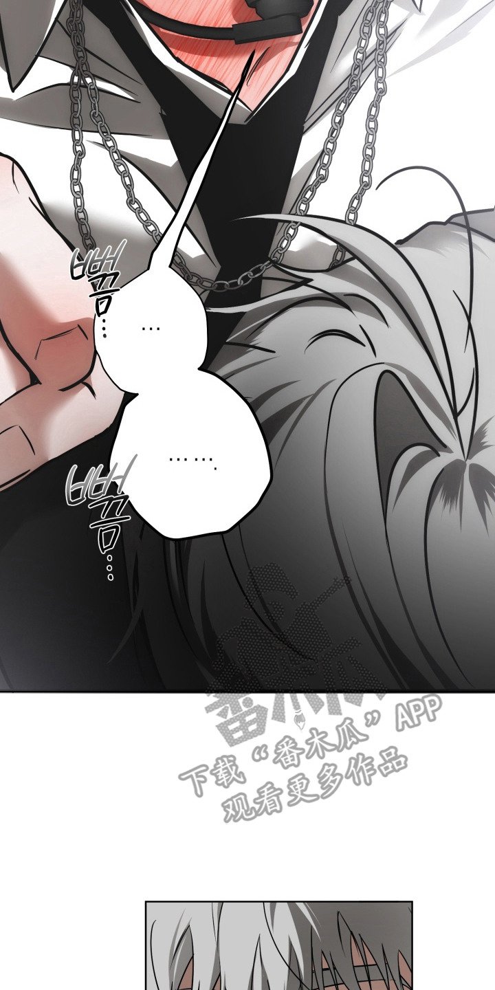 第17章：偏爱