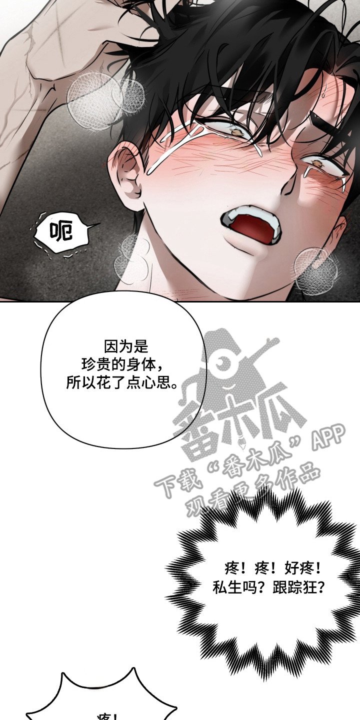 第2章：低语