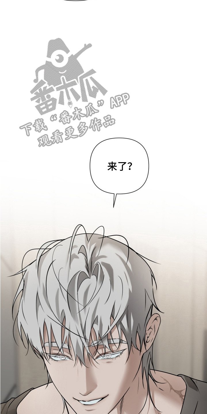 第9章：纸袋