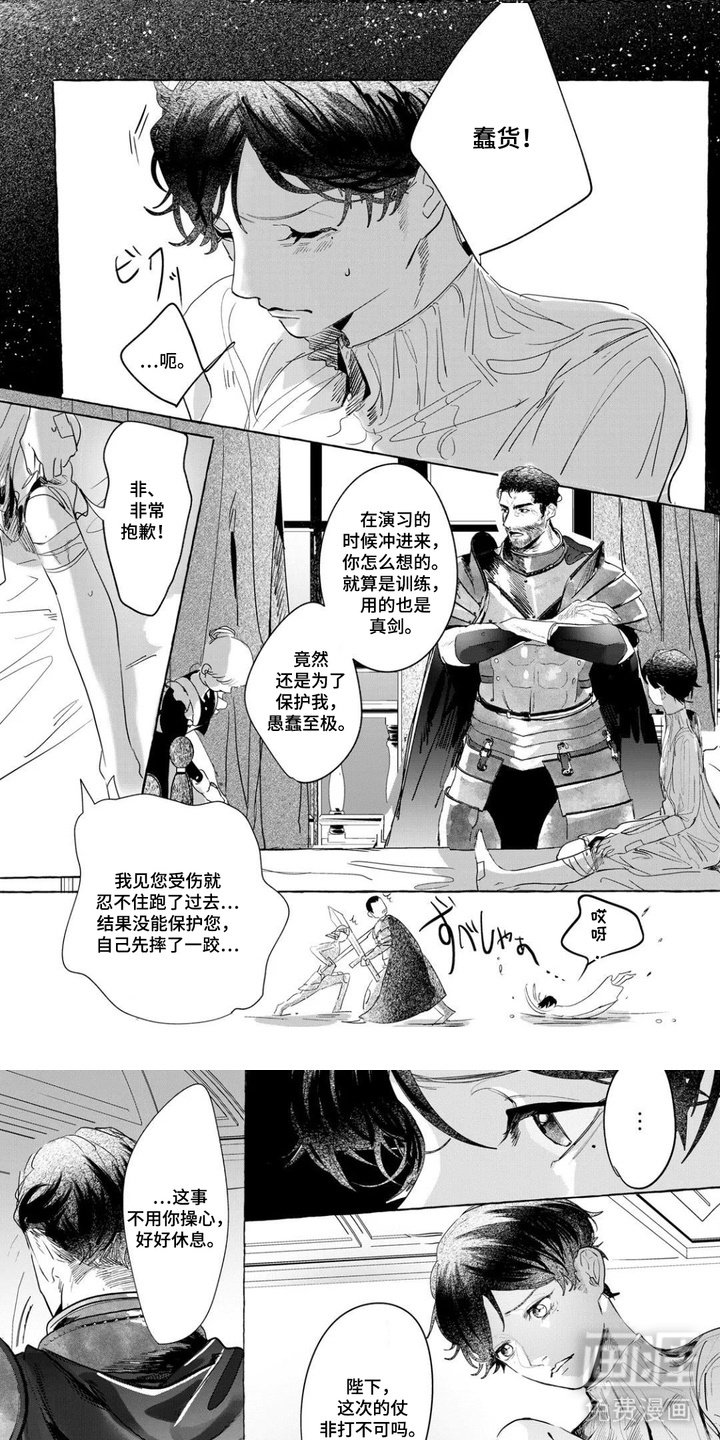 第6章：决心