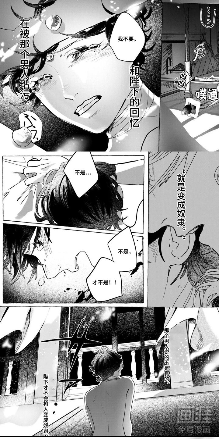第6章：决心