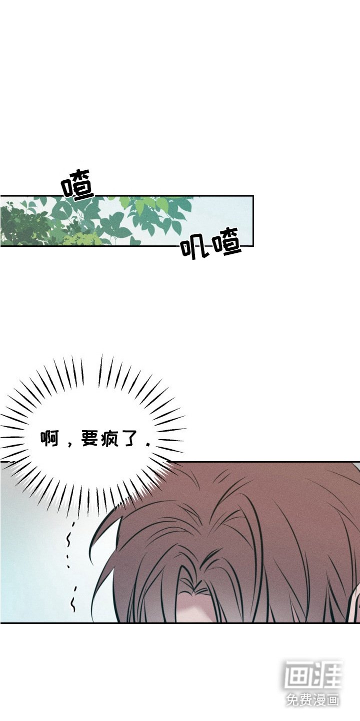 第10章：搞不懂