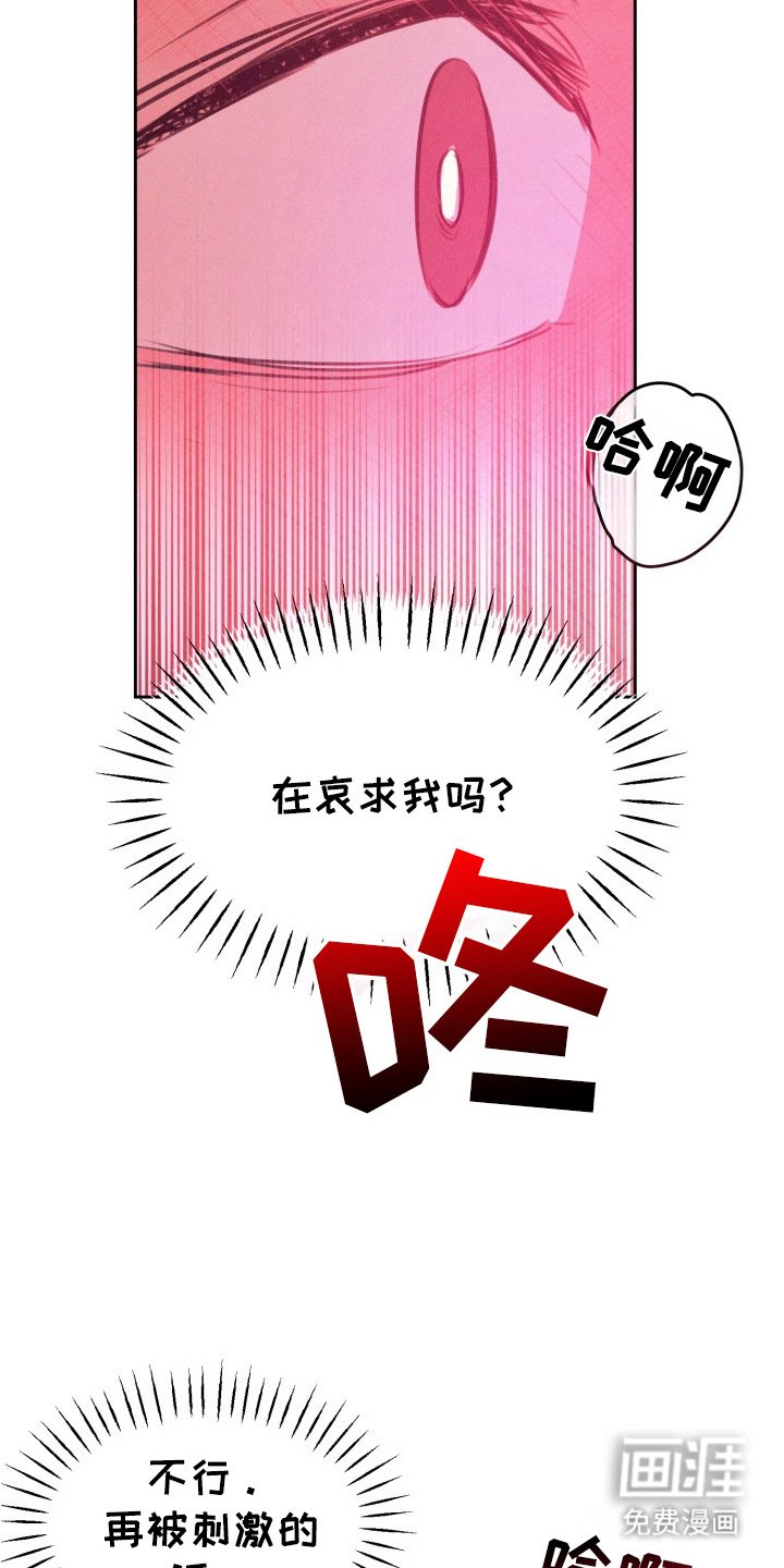 第5章：哀求