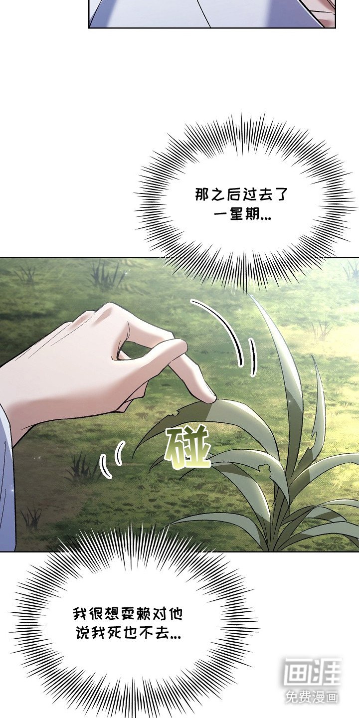 第13章：针锋相对