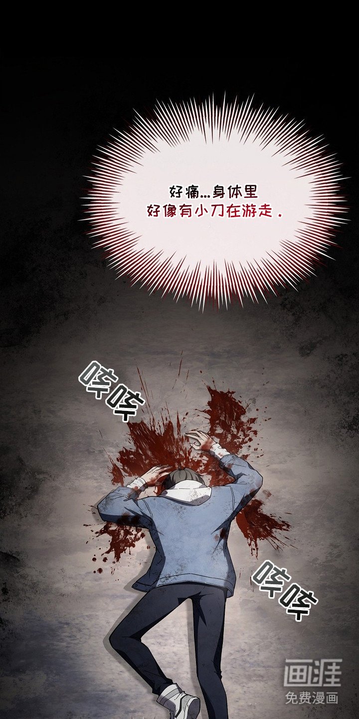第5章：我的向导