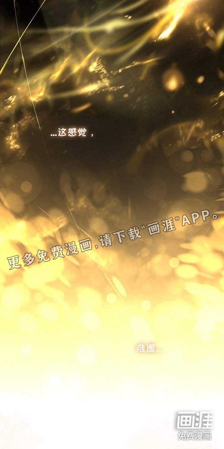 第5章：我的向导