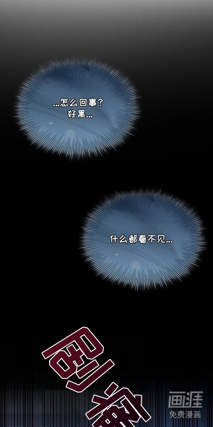 第5章：我的向导