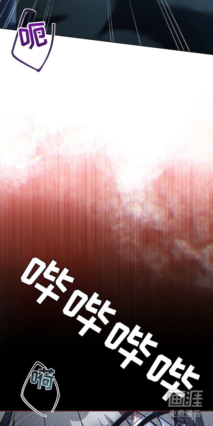 第5章：我的向导