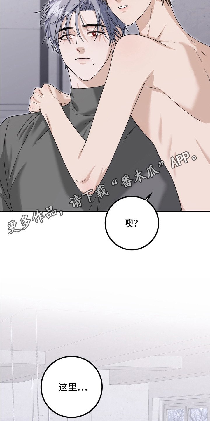 第10章：赝品画家
