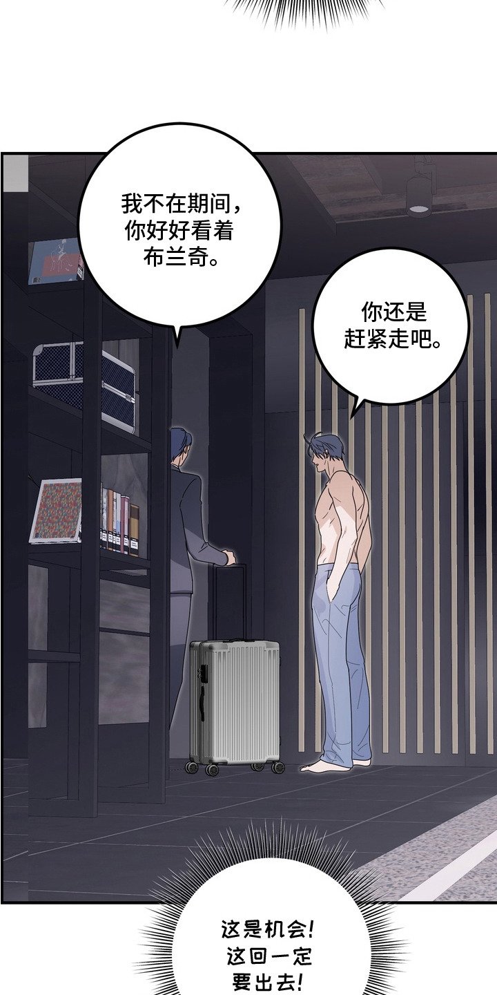第13章：逃跑